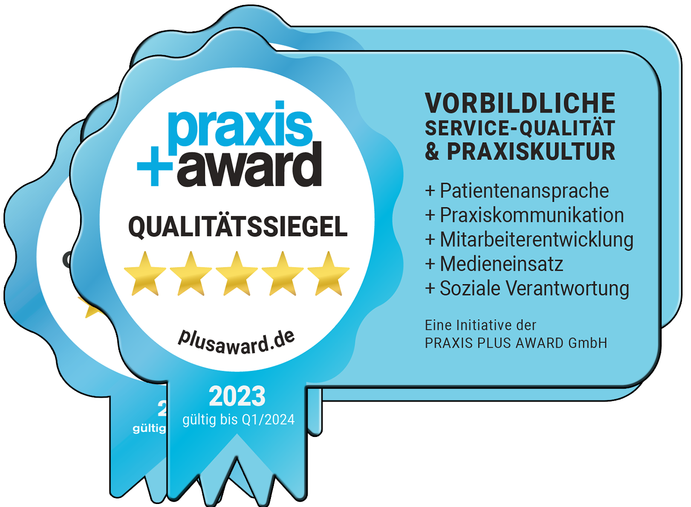 Praxis+Award Qualitätssiegel